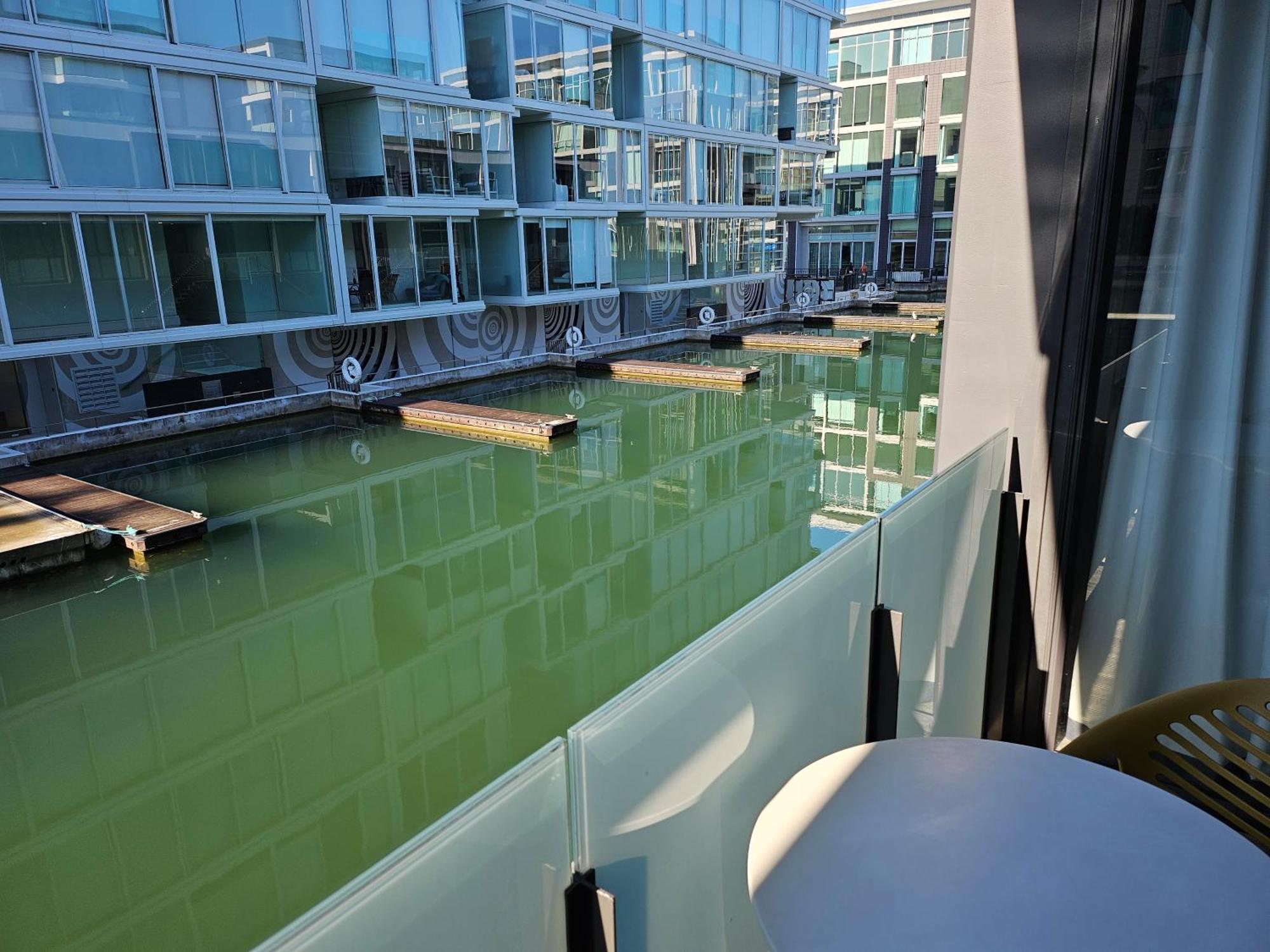 Pavilions Marina Apartment 102 - Wynyard Quarter Viaduct Harbour 오클랜드 외부 사진